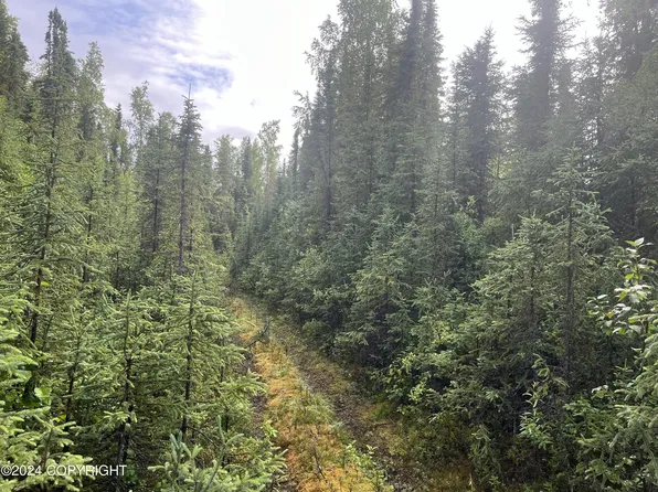 36275 Ansel St N, Soldotna, AK 99669