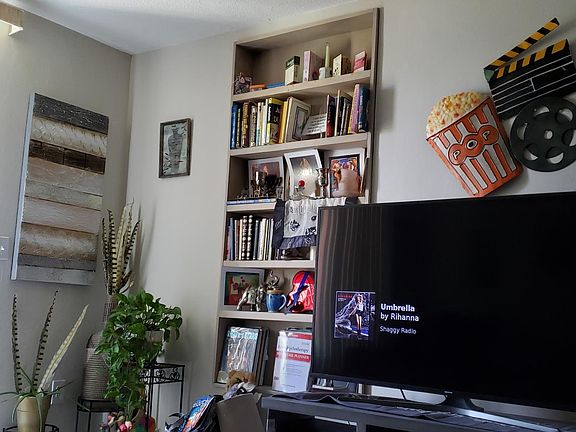 Living room built in bookshelves