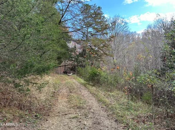 Tim Nicely Ln, Washburn, TN 37888