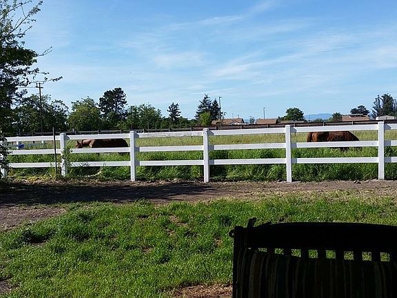 Over 1 acre fenced pasture