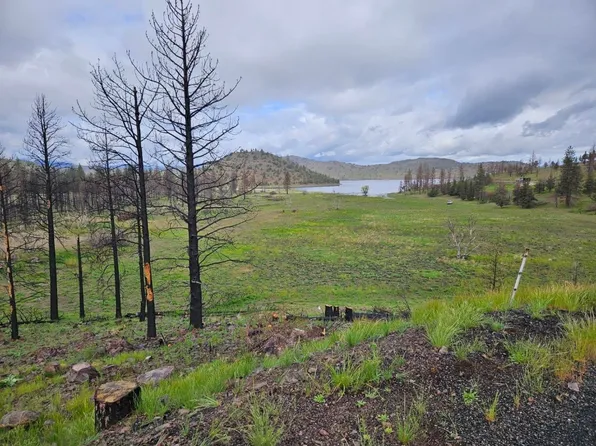 LOT 41 Zen Mountain Dr, Weed, CA 96094