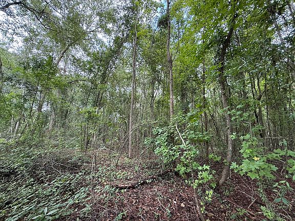 5th image of Live Oak Ln Lot Wp001