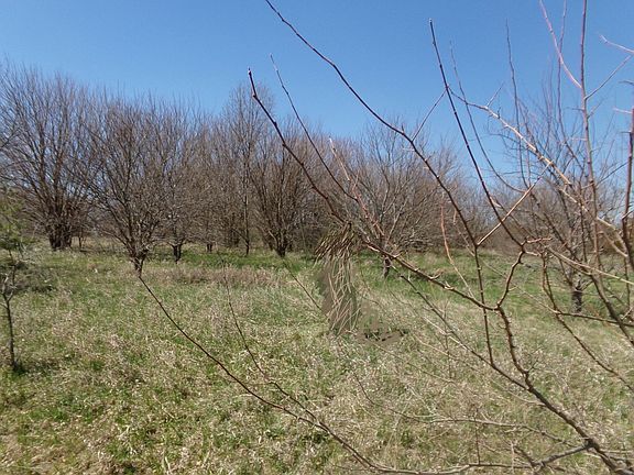 5th image of LOT 2 Knob Hill Ct