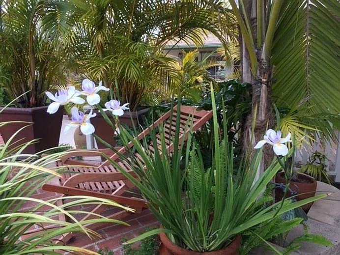 San Dieguito Dr — Photo 19