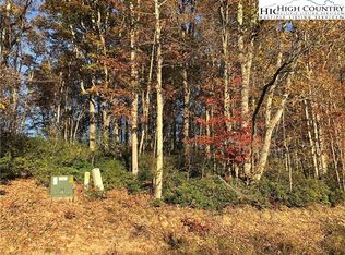 LOT 34 Saddlebrook Ln, Grassy Creek, NC 28631