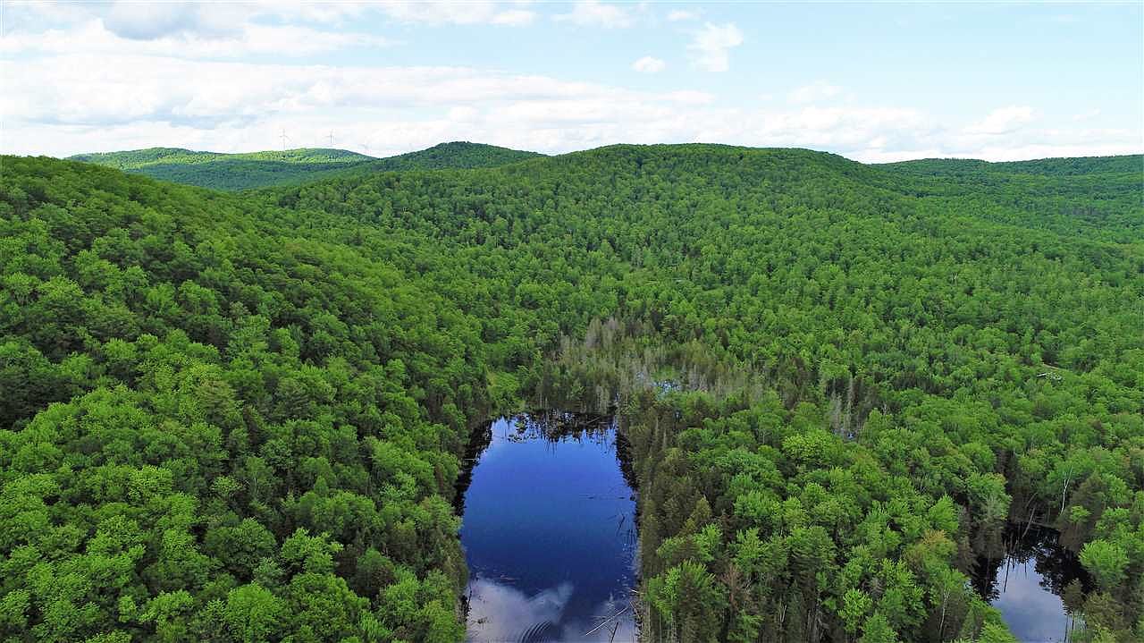 1636 Blake Pond Road, Sheffield, VT 05866 Zillow
