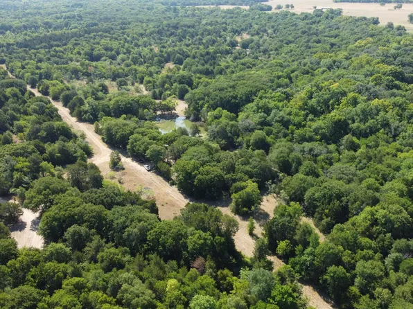 239 S State Highway 309, Kerens, TX 75144