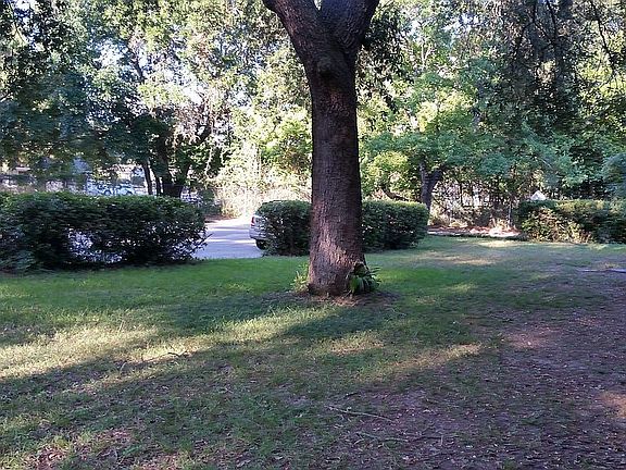 2nd image of 8428 Williamsburg Cir