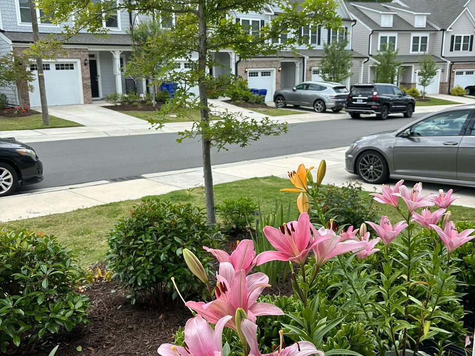 Lovely neighborhood and front yard
