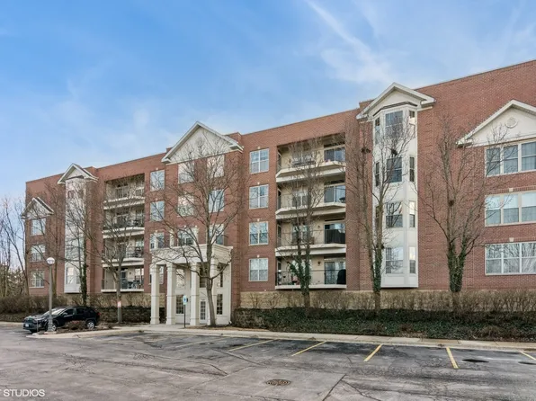 3100 Town Square Dr Unit 307, Rolling Meadows, IL 60008