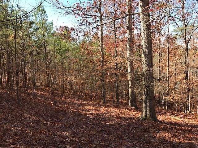 1st image of 12 Mountain Creek Trl