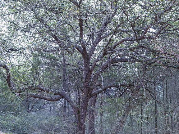 3rd image of Fm 1094