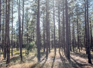 3 Birdsong Way, Lakeside, AZ 85929