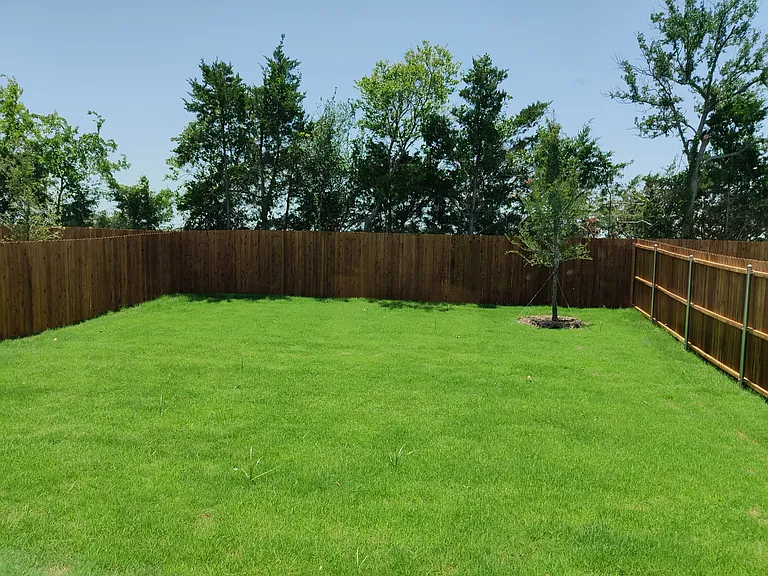 4409 Wood Fern Rd — Photo 8