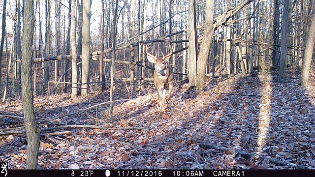 2nd image of 18463 Three Mile Rd