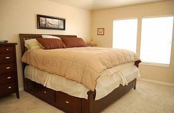 5th image of 8247 Pinecastle Dr