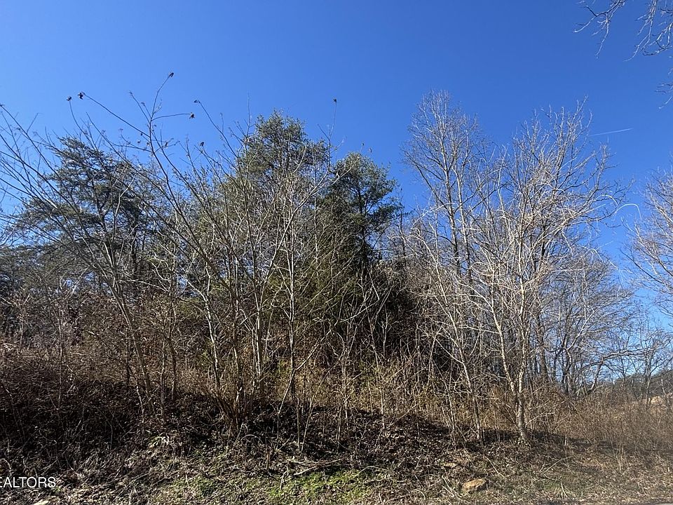 1st image of 0 Rule Hollow Rd Lot 4