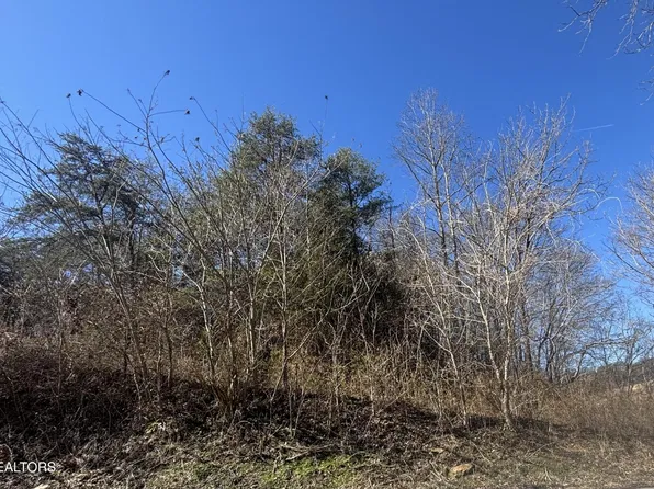 0 Rule Hollow Rd Lot 4, Sevierville, TN 37876