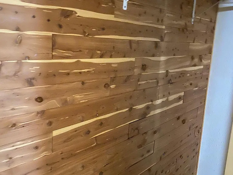 Cedar lined closet in bedroom