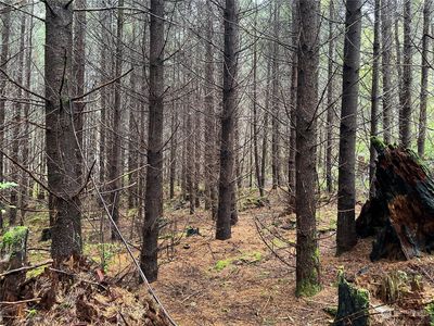 0 State Route 6, Pe Ell, WA, 98572