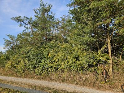 9990 E Channel Dr, Hudson, MI, 49247