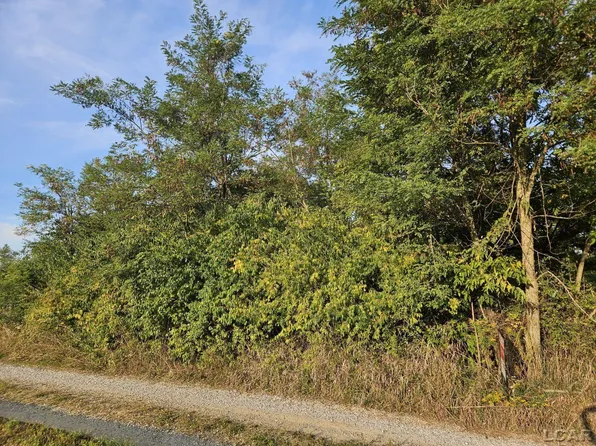 9990 E Channel Dr, Hudson, MI 49247