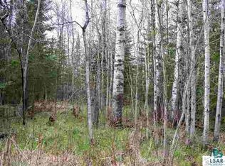 Xxxx Orienta Falls Road Orienta, Pt Wing, WI 54865