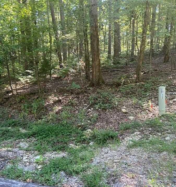 1st image of Curandero Way