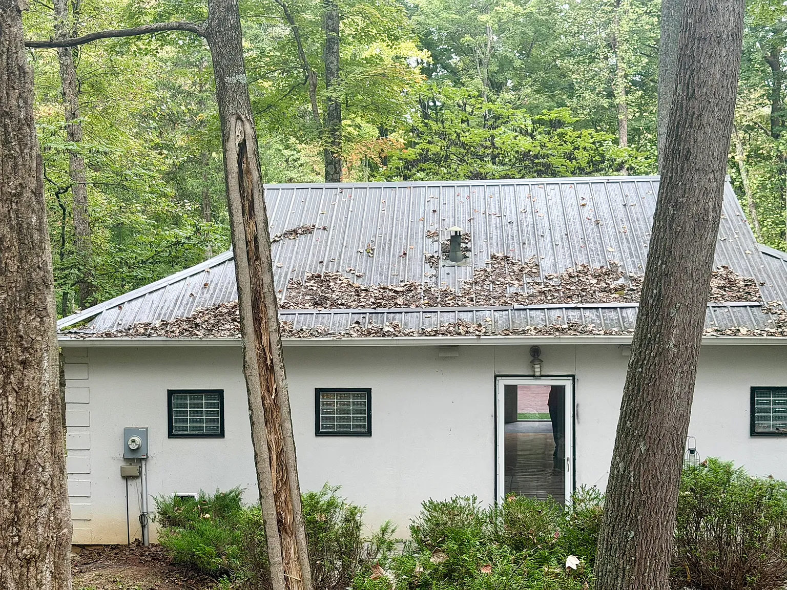 1 bed, 964 sqft, $1,200 — Photo 4