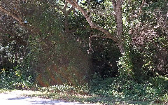 3rd image of 0 Cypress Ave