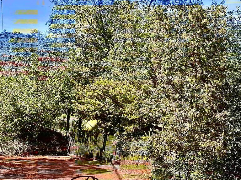 125 Rocky Rd #B — Photo 5