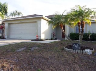 1443 Birchstone Ave, Brandon, FL 33511