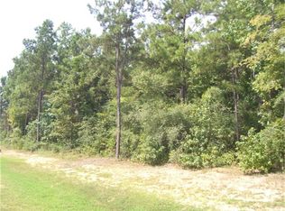 14817 Turquoise Trl, Willis, TX 77378