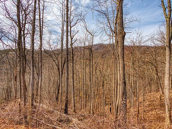 2nd image of Pine Top Ln