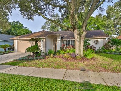 28211 Tanglewood Dr, Zephyrhills, FL, 33543