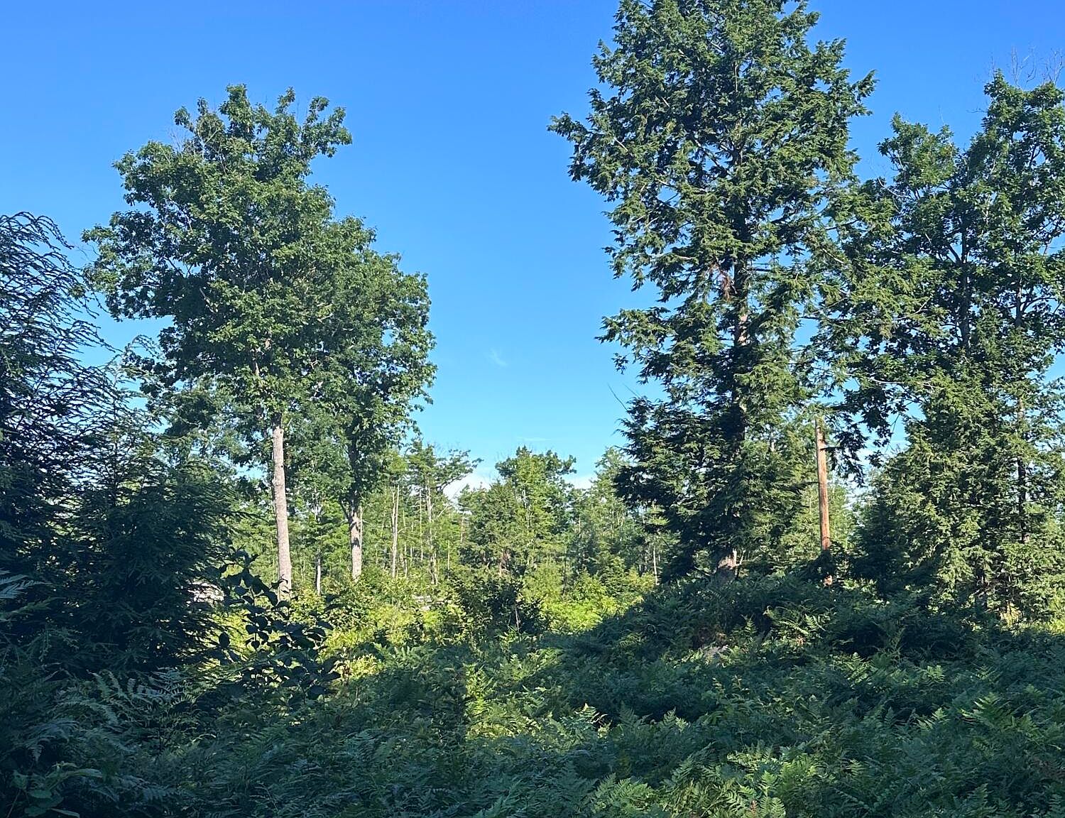 0 Old Ledge Road, Lebanon, ME 04027 Zillow