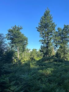 0 Old Ledge Road, Lebanon, ME, 04027