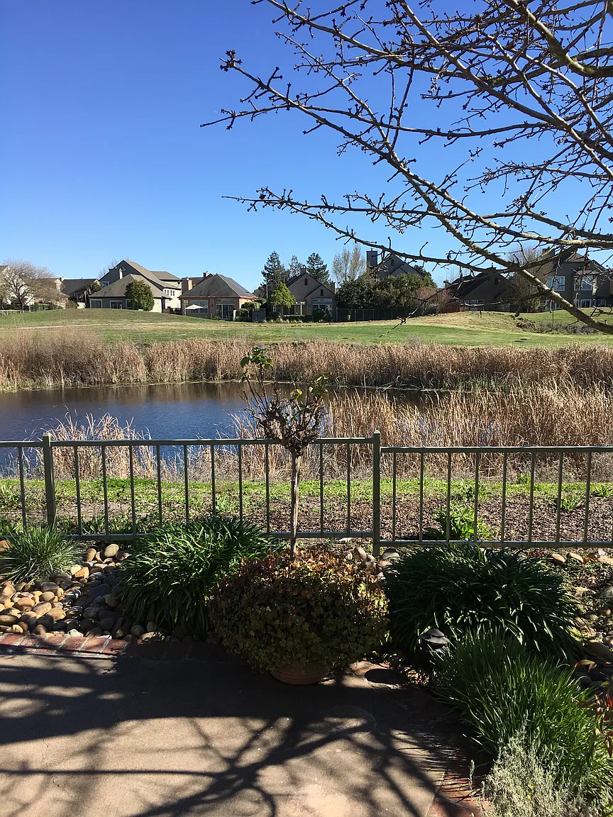 19 Raffles Ct photo 1