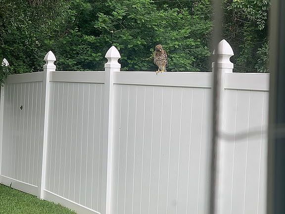 4th image of 12497 Harbor Winds Dr N