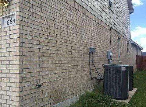 3rd image of 1664 Wildflower Dr