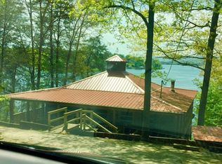 424 Lookout Dr, Spring City, TN 37381