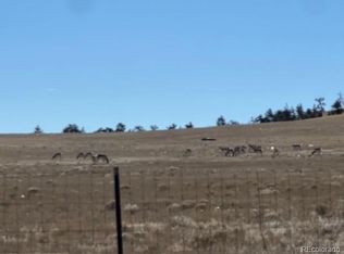 TBD Highway 24, Hartsel, CO 80449