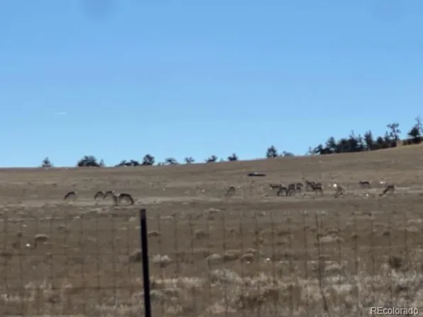 TBD Highway 24, Hartsel, CO 80449