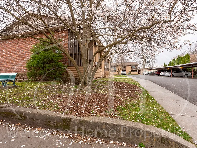 420 Catherine St — Photo 19