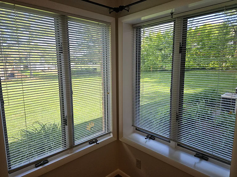 South facing dual windows to the back yard.
