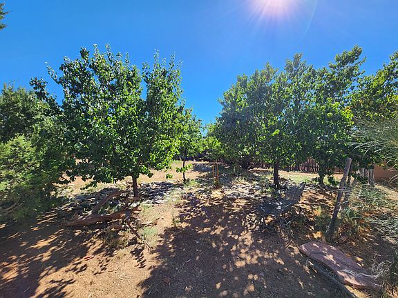 20230905_155138_09062023