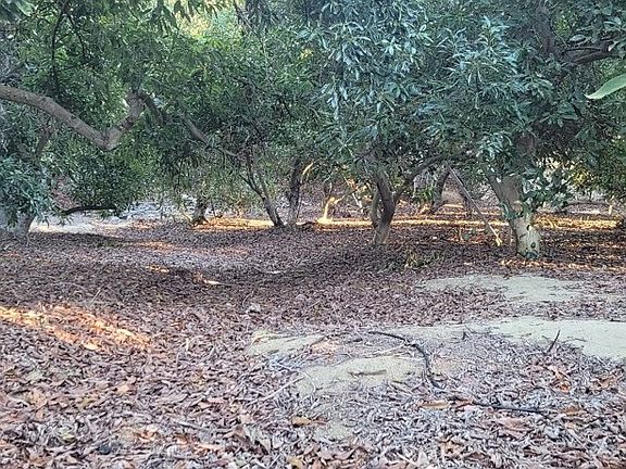 4th image of 16 Camaron Rd Lot 2