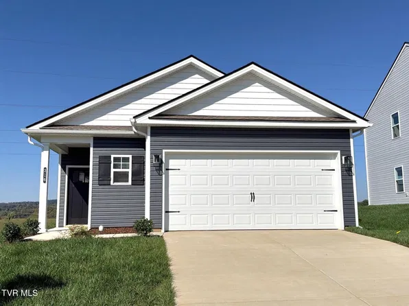 316 Chimney View Loop, Blountville, TN 37617