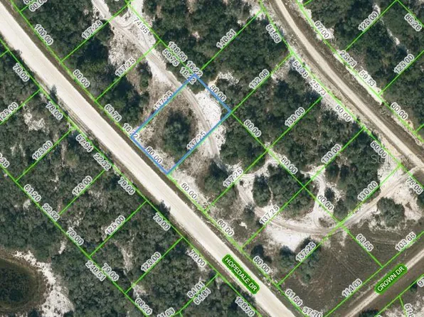 269 Hopedale Dr #20, Lake Placid, FL 33852