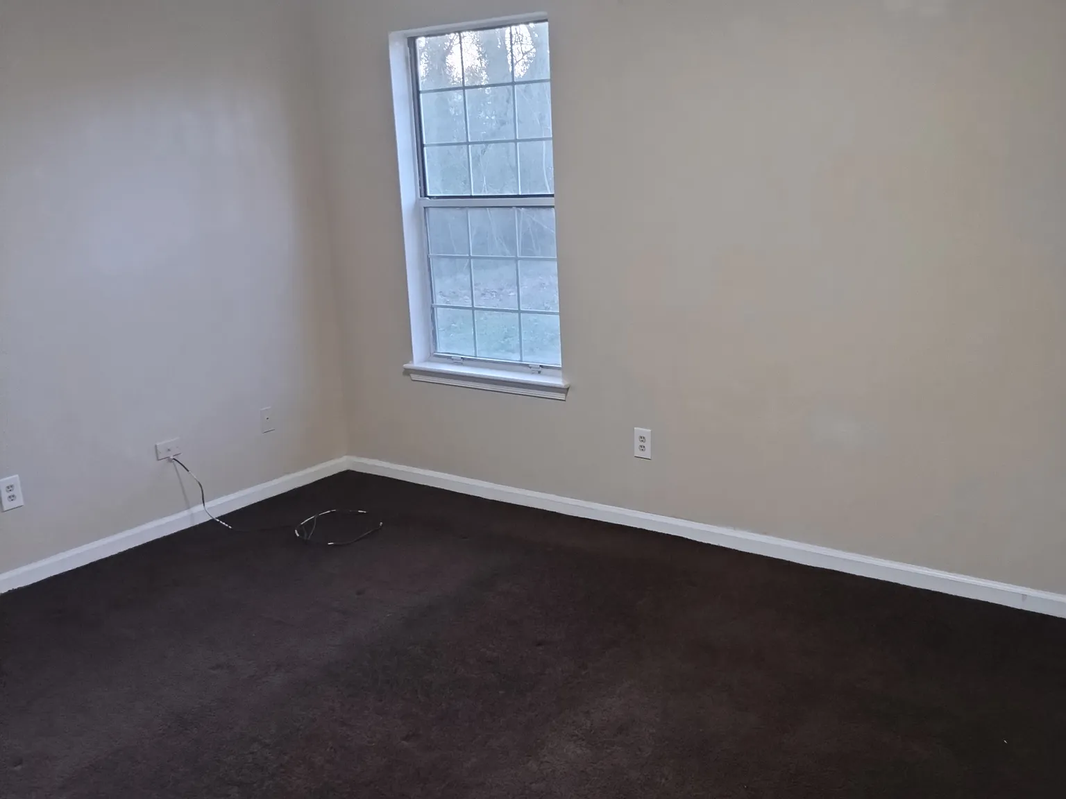 3 bed, 1092 sqft, $2,000 — Photo 4